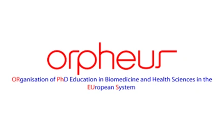 ORPHEUS ETİKET SÜRECİ HAKKINDA 